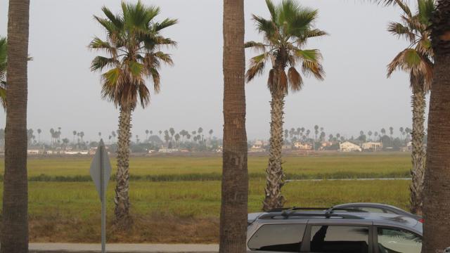 MLS #PTP2500457 image #21