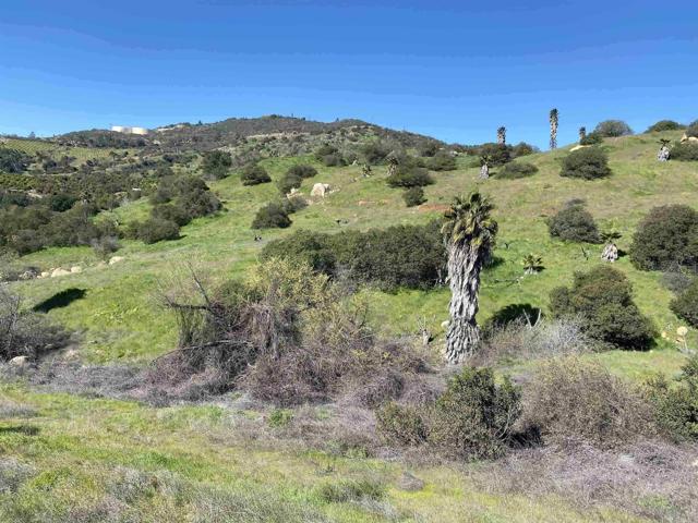 MLS #PTP2500483 image #10