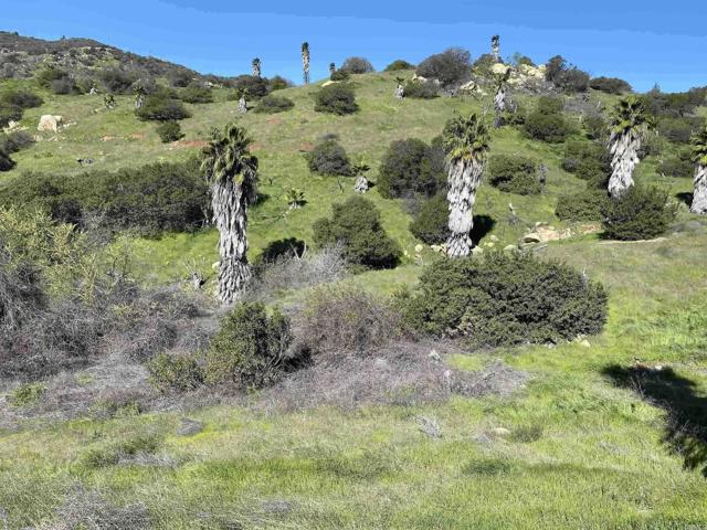 MLS #PTP2500483 image #11