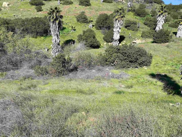 MLS #PTP2500483 image #2