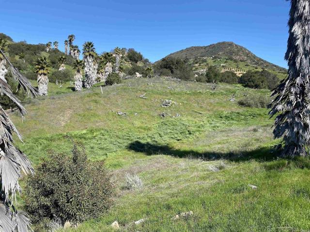 MLS #PTP2500483 image #5