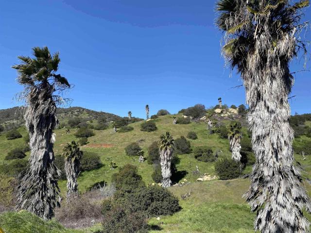 MLS #PTP2500483 image #6