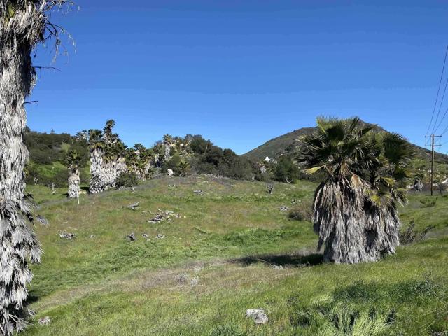 MLS #PTP2500483 image #7