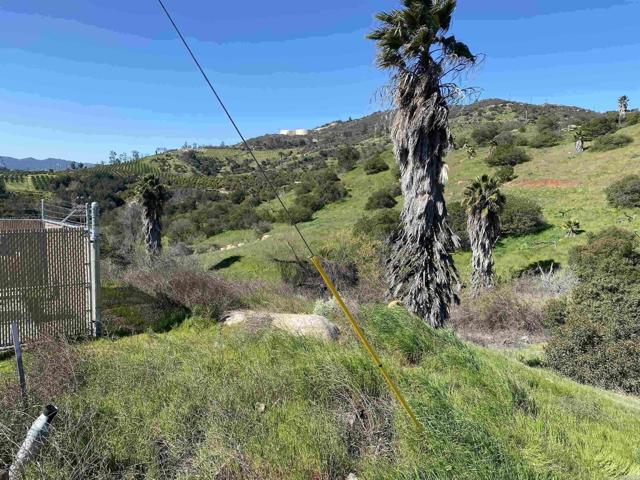 MLS #PTP2500483 image #8