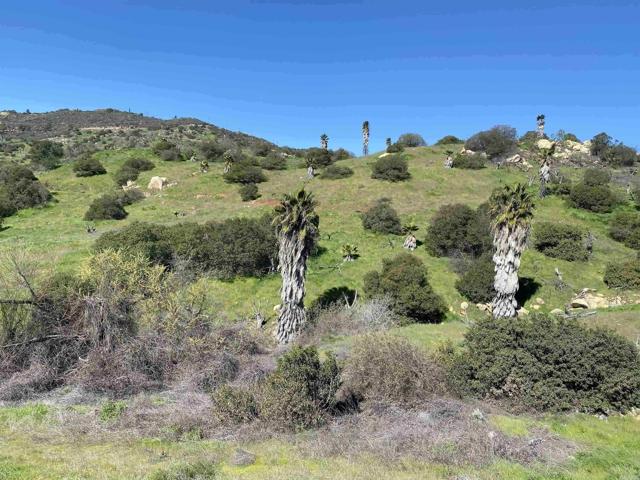 MLS #PTP2500483 image #9