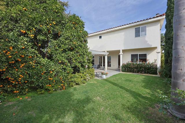 MLS #PTP2500747 image #60