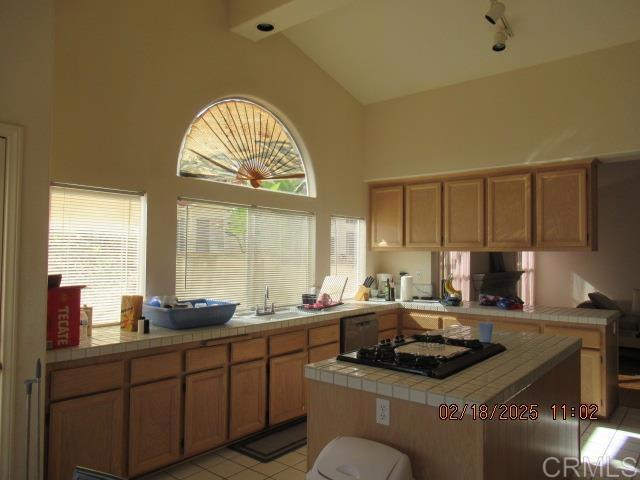 MLS #PTP2501237 image #8