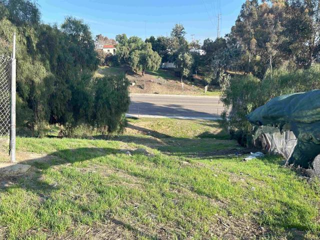 MLS #PTP2501261 image #7