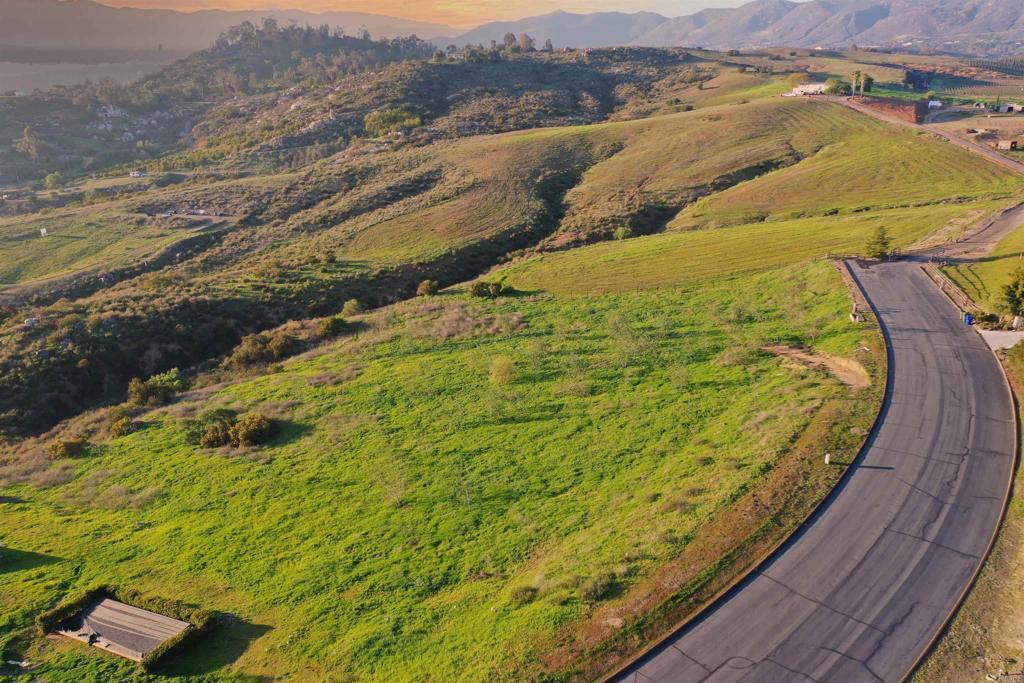 MLS #PTP2502149 image #5