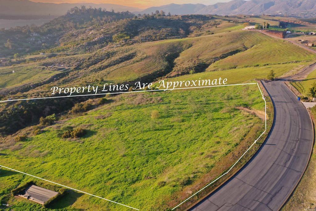 MLS #PTP2502149 image #7