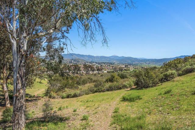 MLS #PTP2502567 image #19