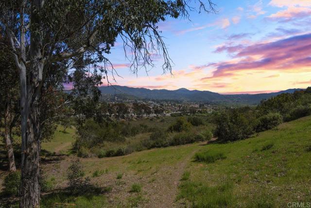 MLS #PTP2502567 image #21