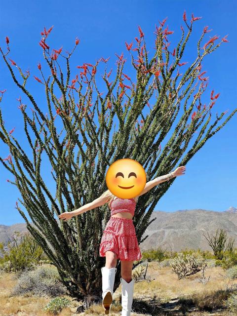 MLS #PTP2502587 image #11