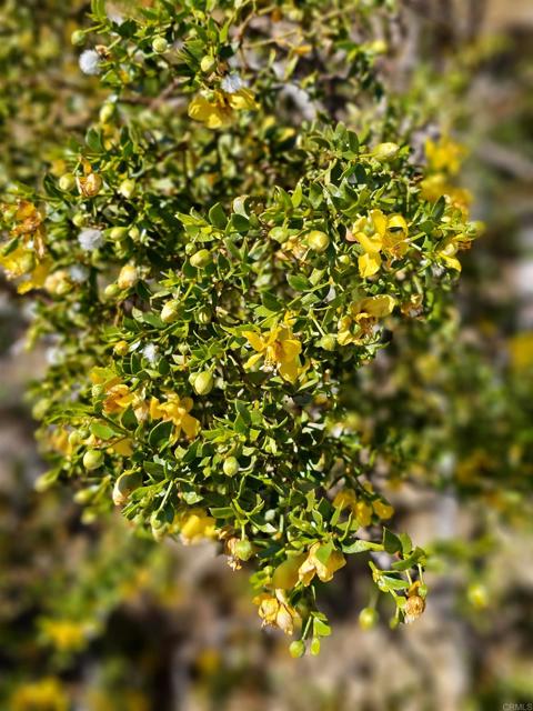 MLS #PTP2502587 image #13