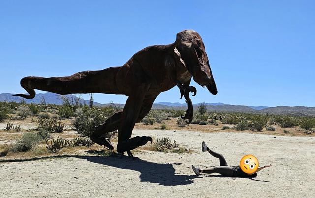 MLS #PTP2502587 image #14