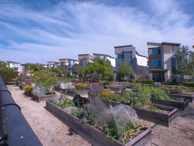 MLS #PTP2502734 image #53