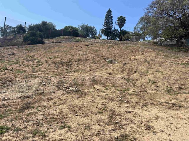 MLS #PTP2502886 image #12