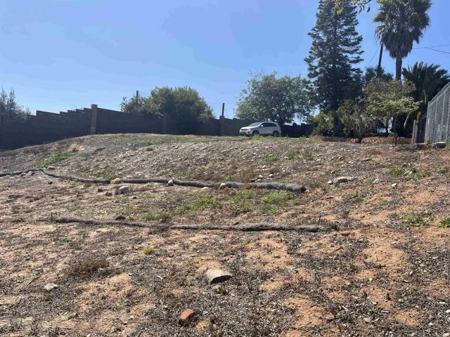 MLS #PTP2502886 image #19