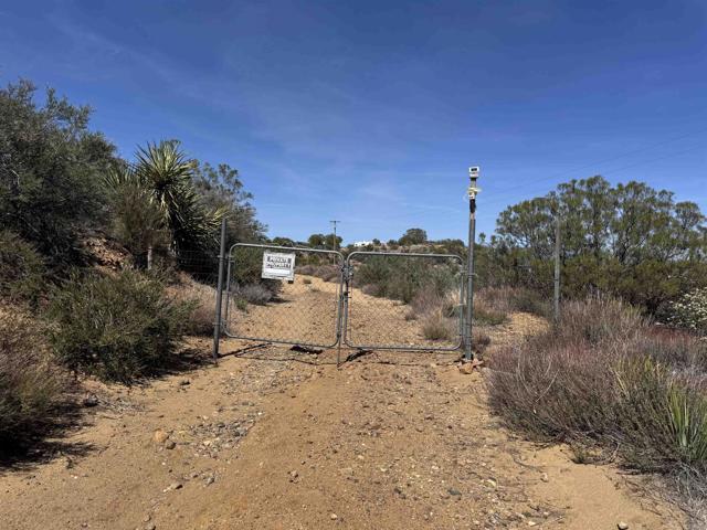 MLS #PTP2503011 image #4