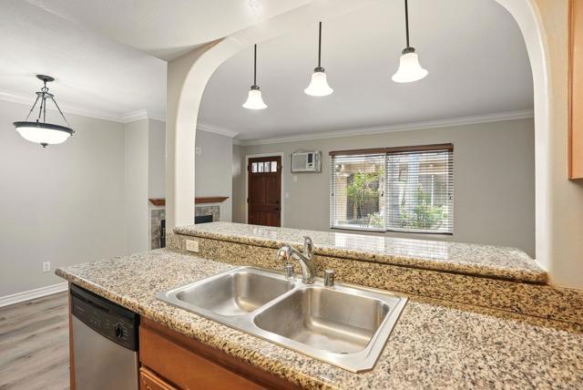 MLS #PTP2503015 image #9