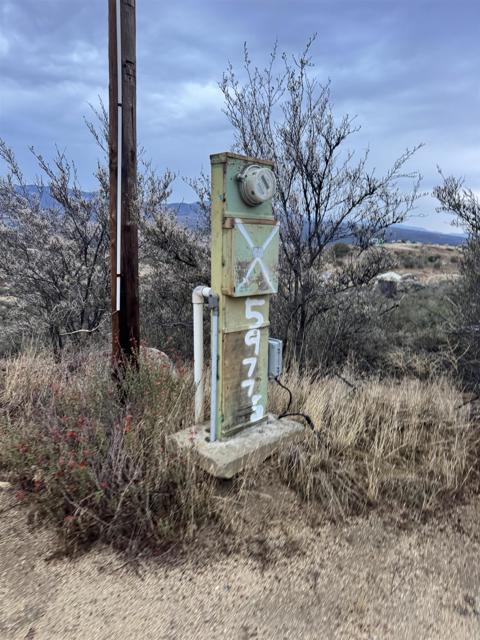 MLS #PTP2503030 image #1