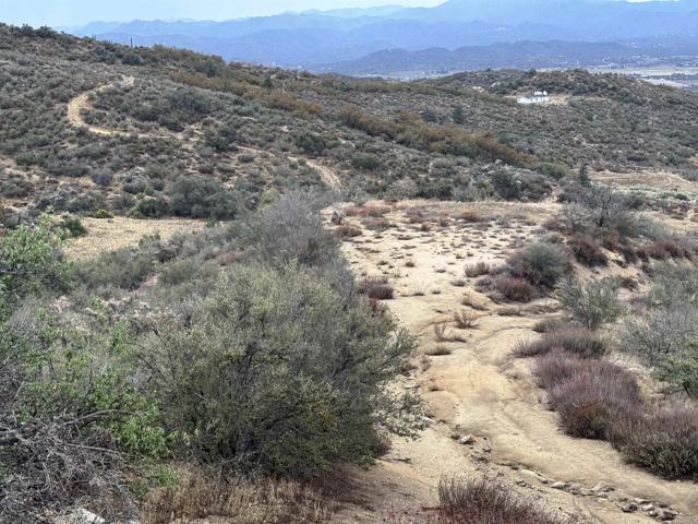 MLS #PTP2503030 image #12