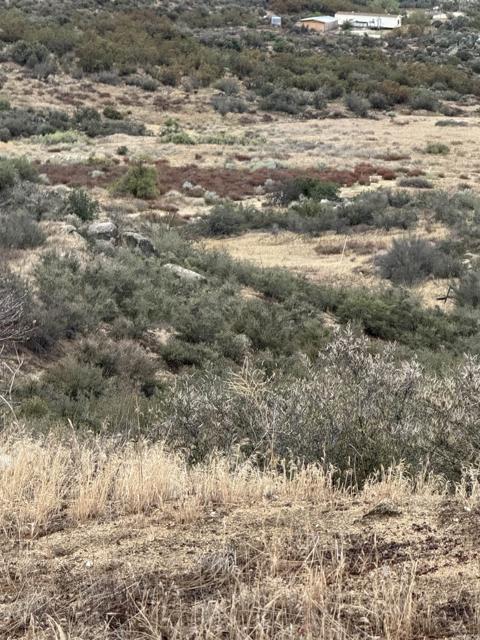 MLS #PTP2503030 image #13