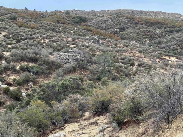 MLS #PTP2503030 image #14