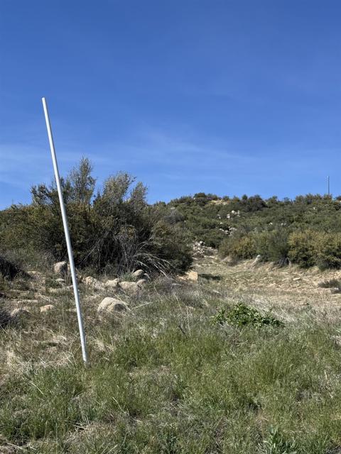 MLS #PTP2503030 image #2