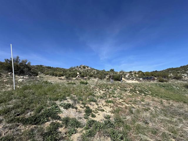 MLS #PTP2503030 image #3