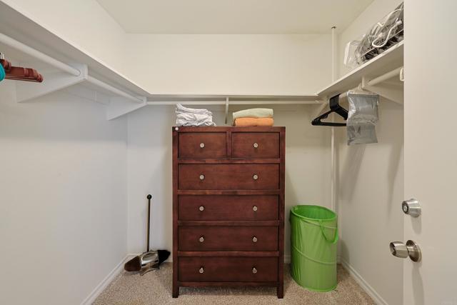 MLS #PTP2503302 image #27