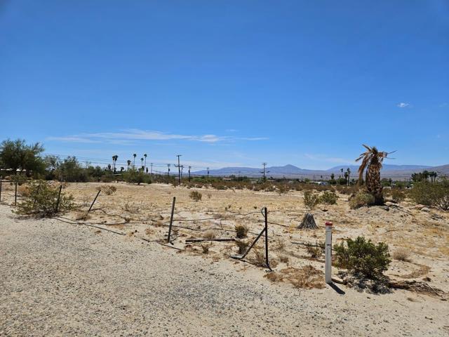 MLS #PTP2503490 image #4