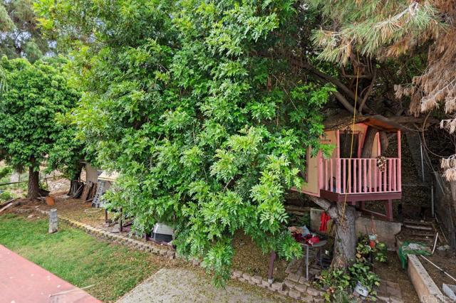 MLS #PTP2503494 image #43