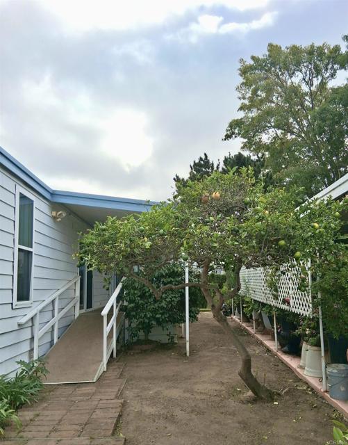 MLS #PTP2503599 image #23