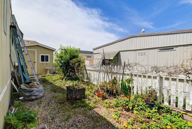 MLS #PTP2503638 image #13