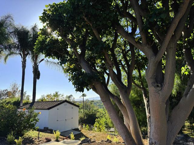 MLS #PTP2503791 image #38