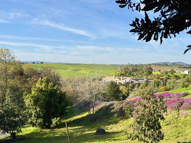 MLS #PTP2503791 image #39