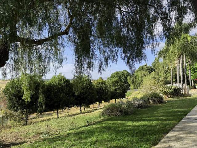 MLS #PTP2503791 image #40