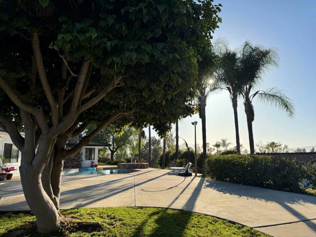 MLS #PTP2503791 image #51