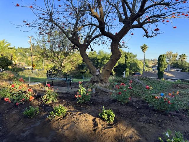 MLS #PTP2503791 image #52