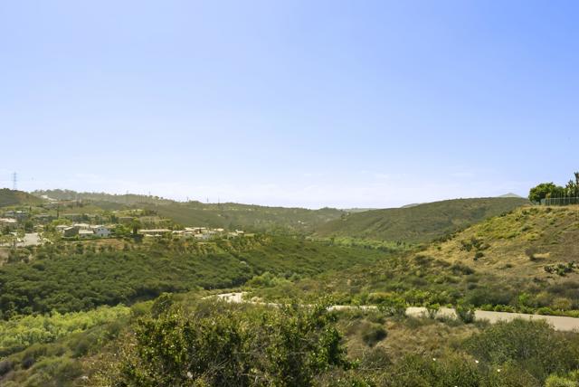 MLS #PTP2504001 image #71