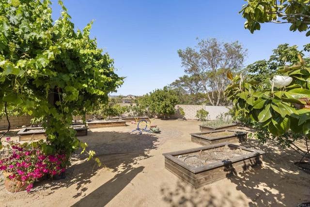 MLS #PTP2504001 image #73