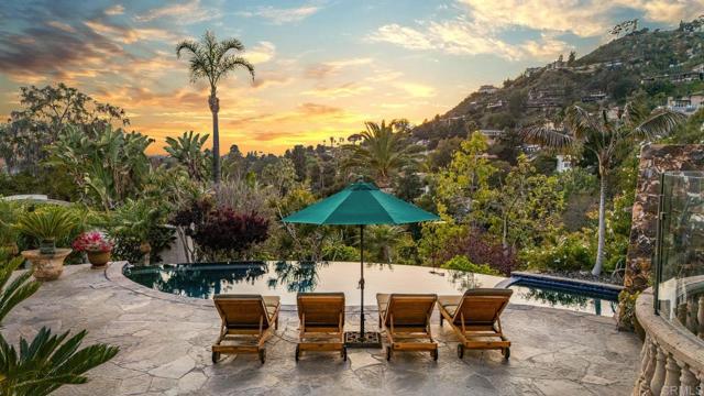 MLS #PTP2504023 image #24