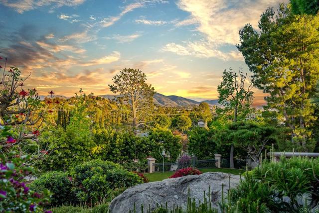 MLS #PTP2504023 image #29