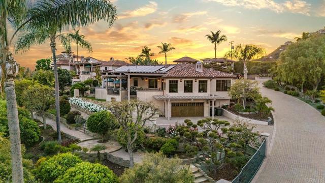 MLS #PTP2504023 image #46