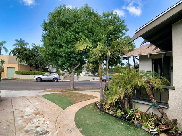 MLS #PTP2504170 image #11