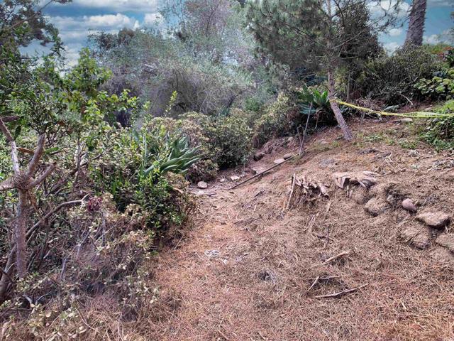 MLS #PTP2504170 image #23