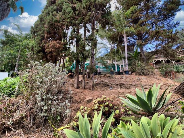 MLS #PTP2504170 image #24