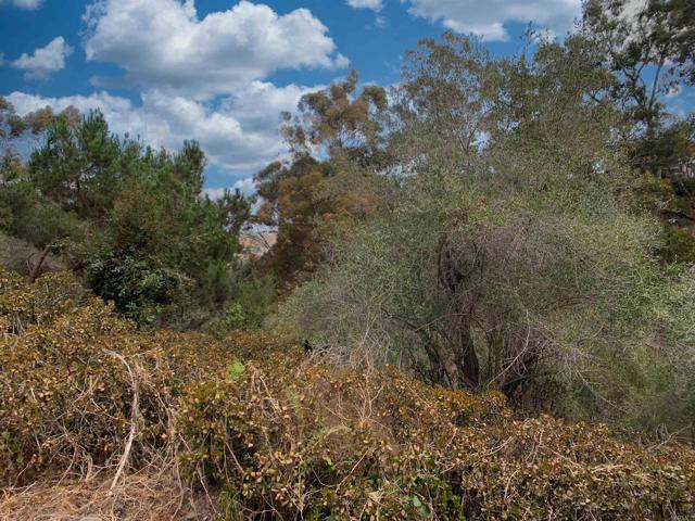 MLS #PTP2504170 image #25