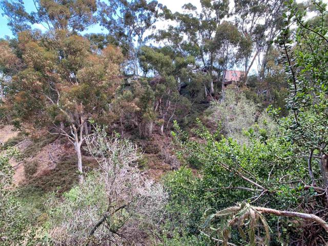 MLS #PTP2504170 image #26